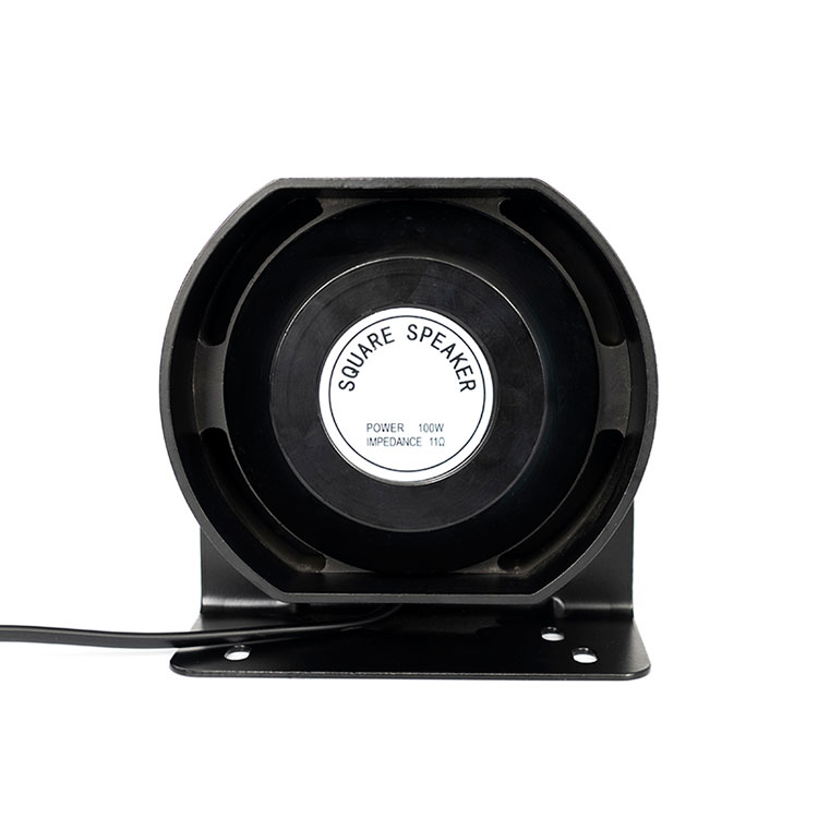Haut-parleur 100 W
