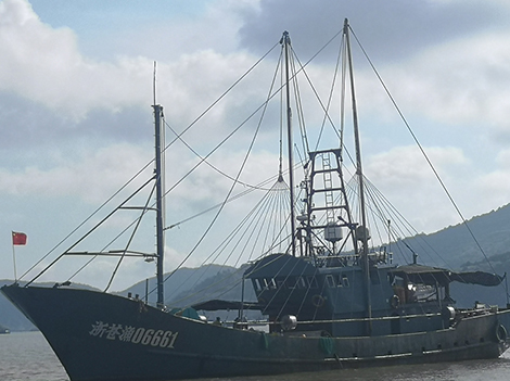 Excursions en bateau de finition de véhicules Nova